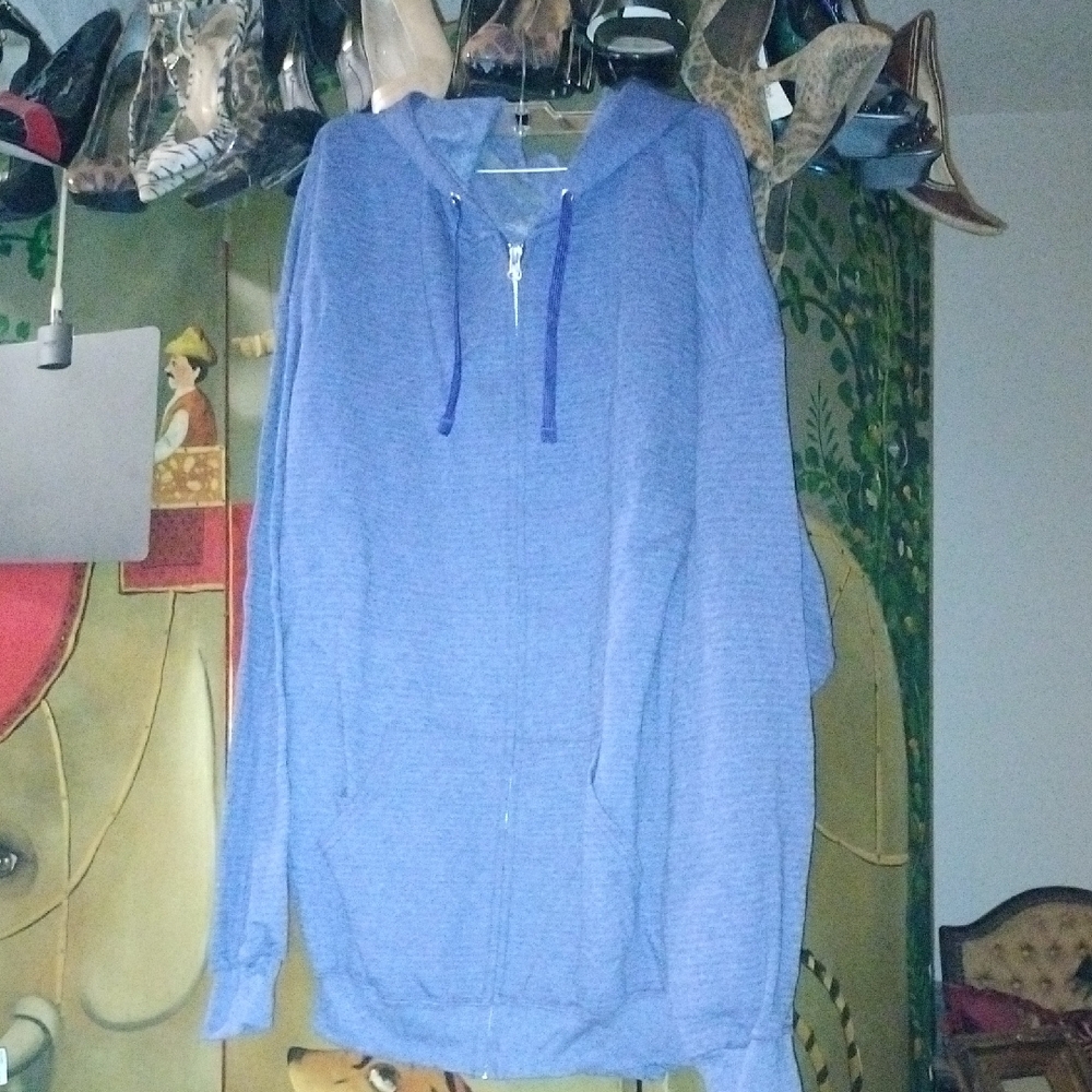 Fruit of the Loom Blue Men's Hoodie
